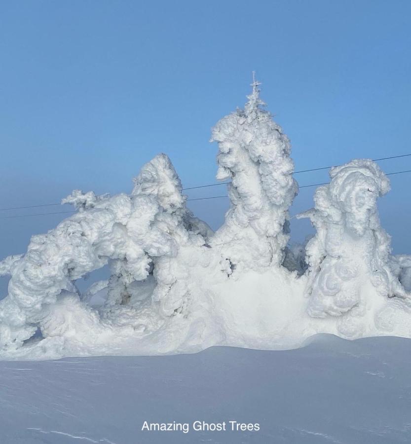 Hafjell Alpinlandsby Apt 88 المظهر الخارجي الصورة